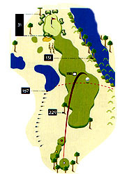 hole11